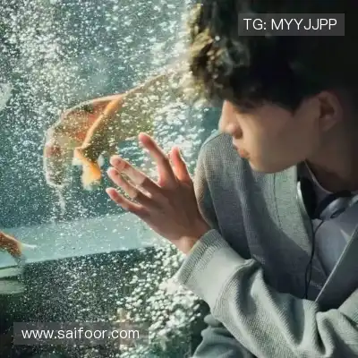 杨一舟